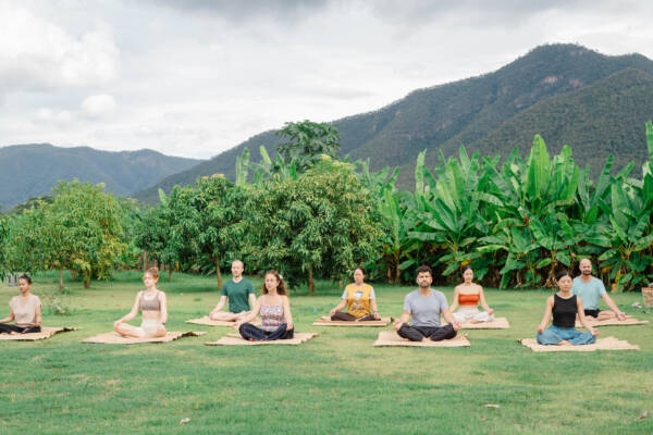 The New Year Silent Meditation Retreat - Module 2