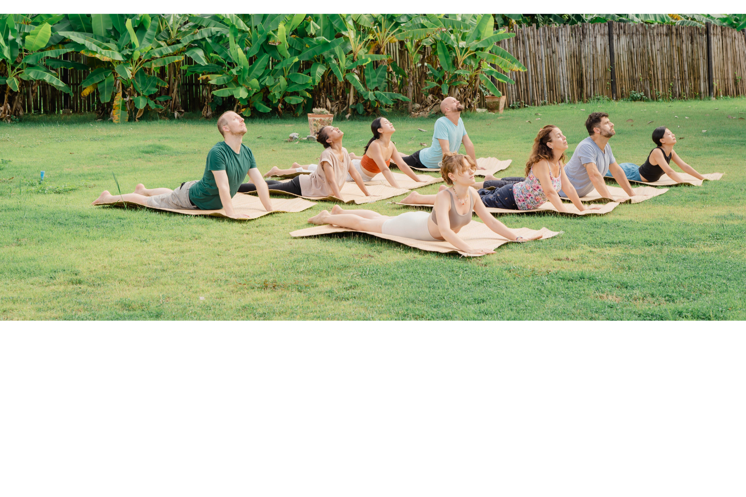 Participants practicing heart-opening asana during a 7 chakras retreat