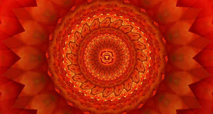 The Root Chakra: What is it about?